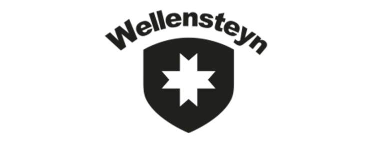 Wellensteyn logo 